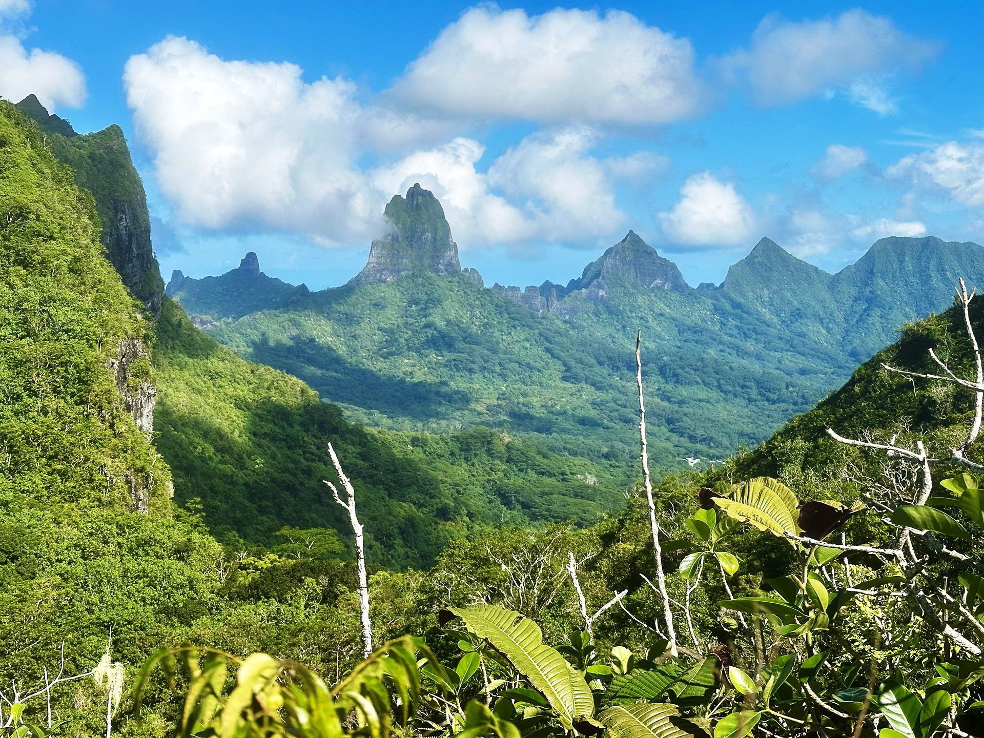 Moorea