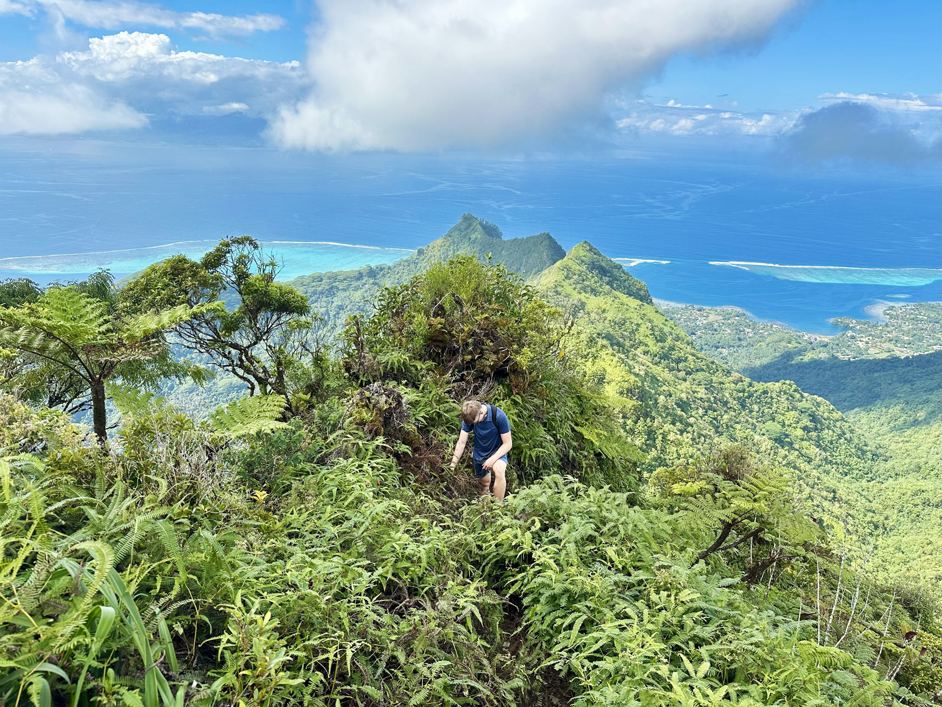 Moorea
