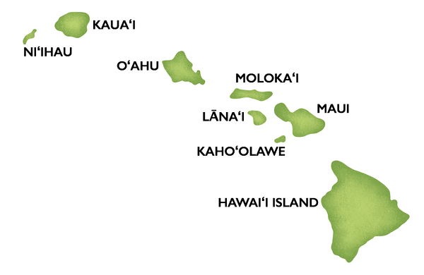 ALOHA HAWAII