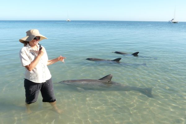 9.den - Snídaně s delfíny a pláž mušlí