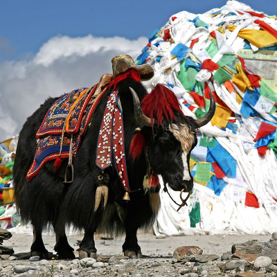 Výprava do Bhútánu a Nepálu s Michalem Thomou 